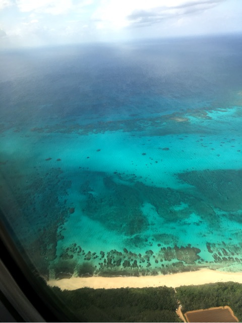 {312C8ED1-4D0A-41CC-BCC8-F367816B5BE6}