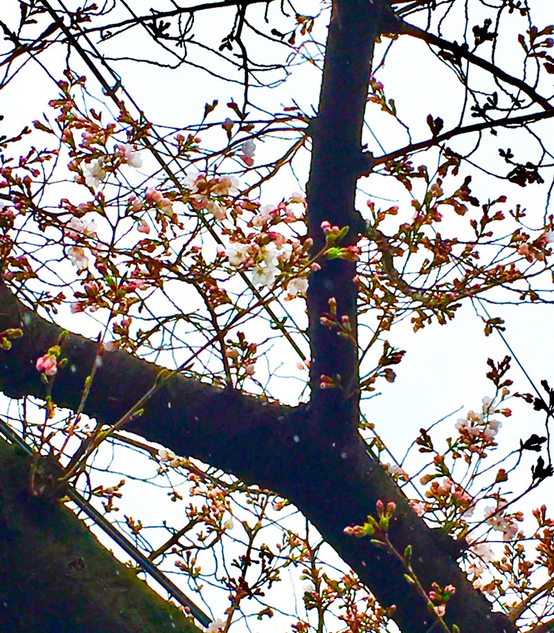 {7B6D314C-2E35-4BC6-8658-C648FD0BCFA6}