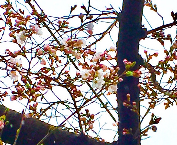 {85AB4134-0CBC-4F6C-87DC-3096C3A1A7A8}