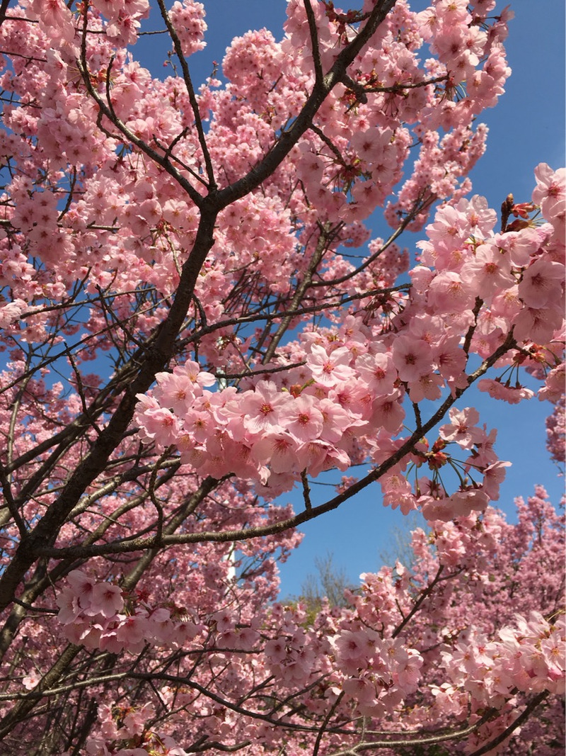 {F41D754F-842A-40FA-8AE2-4A44B6E515ED}