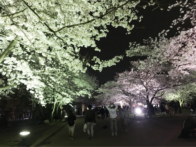 {AAA46D67-FF58-44A8-B7F9-795B012F10C1}