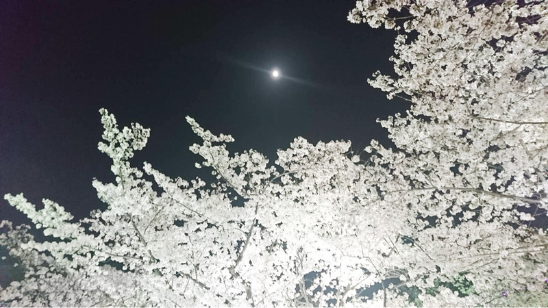 {C021BAC8-A153-4C54-B1F6-840DFCC04294}