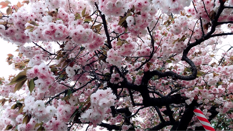 {226CE98C-B6BC-46F4-8B55-B843099E1019}