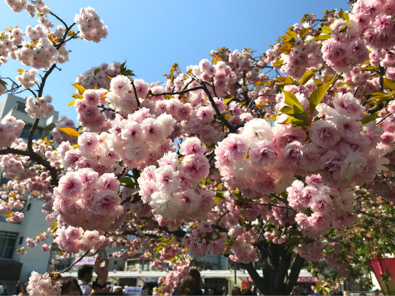 {DC1C0172-F12F-459E-B9A5-3DEB63EA3FA8}