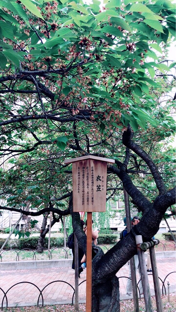 {70CD05EB-E6D2-4AB3-8651-24A083FF17BC}