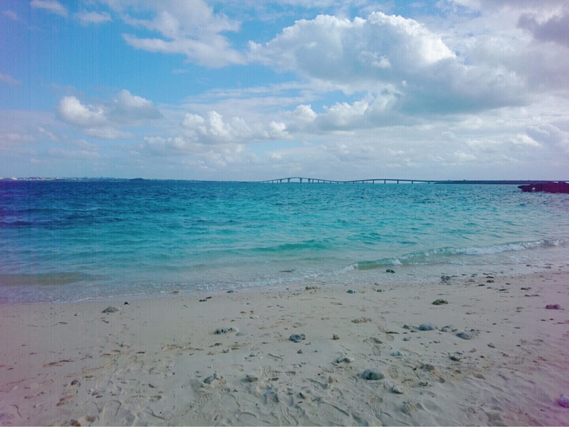 {2A32D49C-49F7-40D4-BD19-BFE0D7CFDAA8}